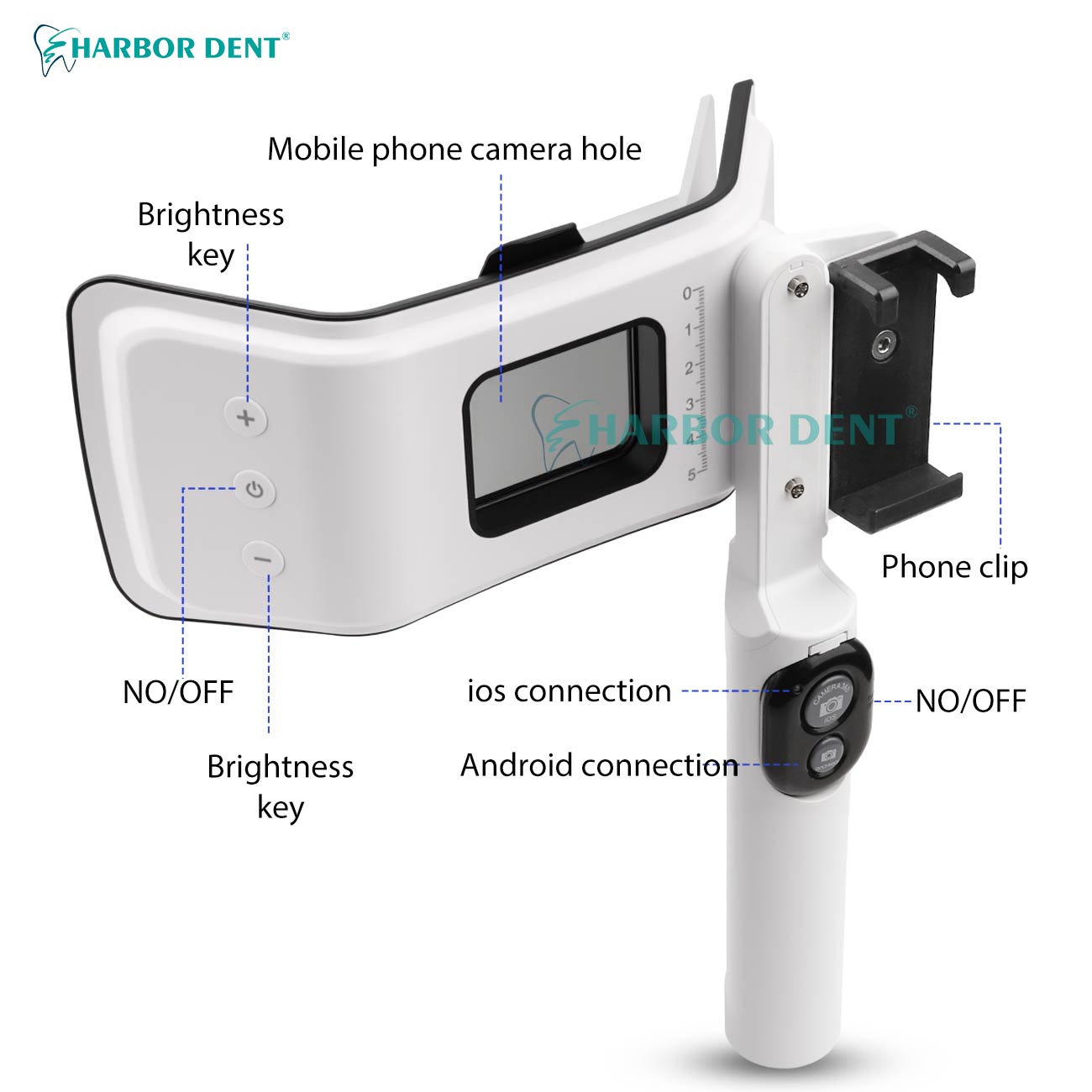 Good Price Dental Photography  - Good Lighting In Photography 评论和价格